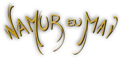 logo namur en mai - nem 2013