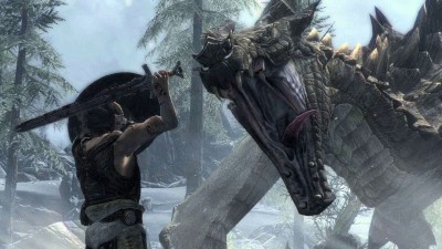 Image du jeu Skyrim