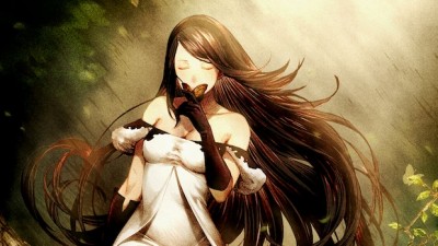Image du jeu Bravely Default