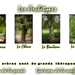 arbres